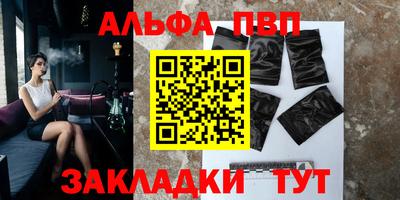 jwh Кингисепп