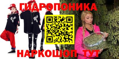 индика Кимры