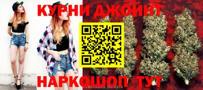индика Кимры