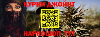 jwh Кингисепп