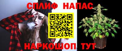 jwh Кингисепп