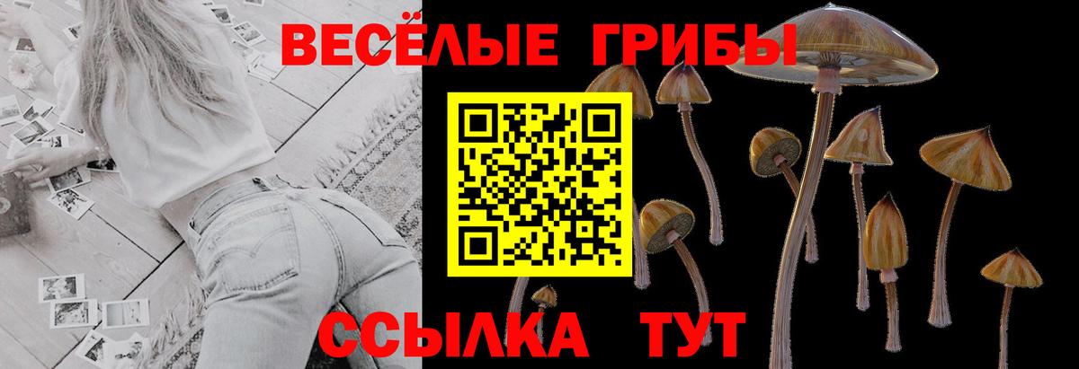 Псилоцибиновые грибы Magic Shrooms Красный Сулин